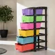 Multicolor__RASVESH