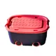 Coral Pink And Navy Blue__RASVESH