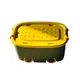 Yellow And Green__RASVESH