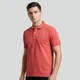 Coral Pink__SURPRICE GROOM AND ETHNIC 