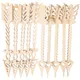Beige__Cliths