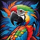 Multicolour__Cliths