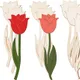 Beige__Cliths