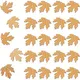 Beige__Cliths