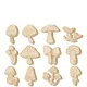 Beige__Cliths