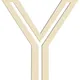 Beige__Cliths