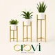 Gold__OROVI