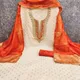 Orange__Gopridi