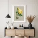 Multicolor__Artesviaa