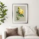 Multicolor__Artesviaa