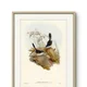 Beige__Artesviaa