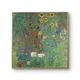 Multicolor__Artesviaa