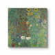 Multicolor__Artesviaa