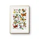 Multicolor__Artesviaa