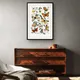 Multicolor__Artesviaa