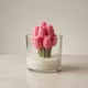 Pink And Green__Lumora Candle