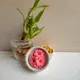 Pink__Lumora Candle 