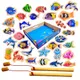 Multicolor__PLUSPOINT