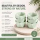 Green__HIMALAYAN PINE CO