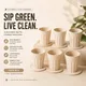 Beige__HIMALAYAN PINE CO