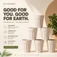 Beige__HIMALAYAN PINE CO
