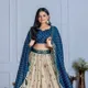 Blue__Aranya Fab