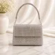 Silver__SHOPMYCLUTCH