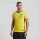 Yellow__Jerseycart