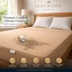 Beige__LUXURIOUS HOMES