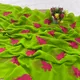 Green And Pink__MISS LADY 