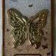 Gold__Casohitech