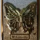 Gold__Casohitech