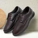 Brown__SHUAN