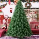 Green__APNA STORE