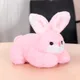 pink__apnawholesale.in