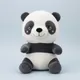Blacka And White__apnawholesale.in