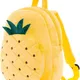 Pineapple__apnawholesale.in