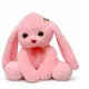 Pink And Black__apnawholesale.in