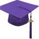 Purple__RAJ COSTUMES