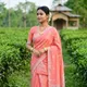 Carrot Red__SARITA