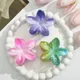 Multicolor__FLORAFAUNA 