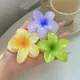Multicolor__FLORAFAUNA 