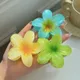 Multicolor__FLORAFAUNA 