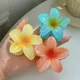 Multicolor__FLORAFAUNA 