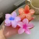 Multicolor__FLORAFAUNA 