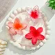 Multicolor__FLORAFAUNA 