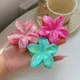Multicolor__FLORAFAUNA 