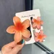 Orange__FLORAFAUNA 
