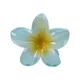 Blue__FLORAFAUNA 