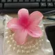 Pink__FLORAFAUNA 